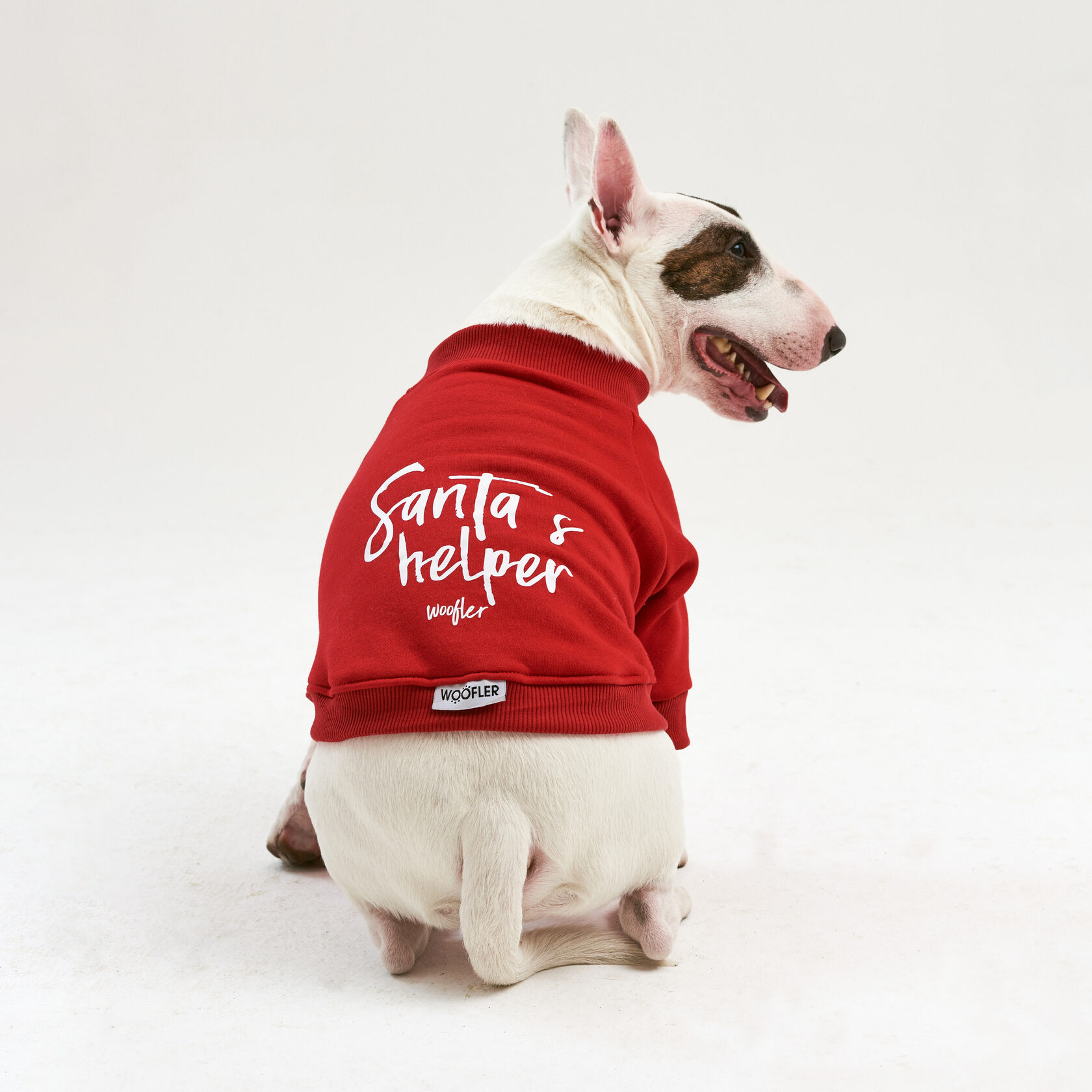 Новогодний костюм для собак BULLY "Santa's Helper" — Французы, кадр 1